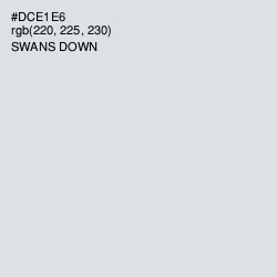 #DCE1E6 - Swans Down Color Image